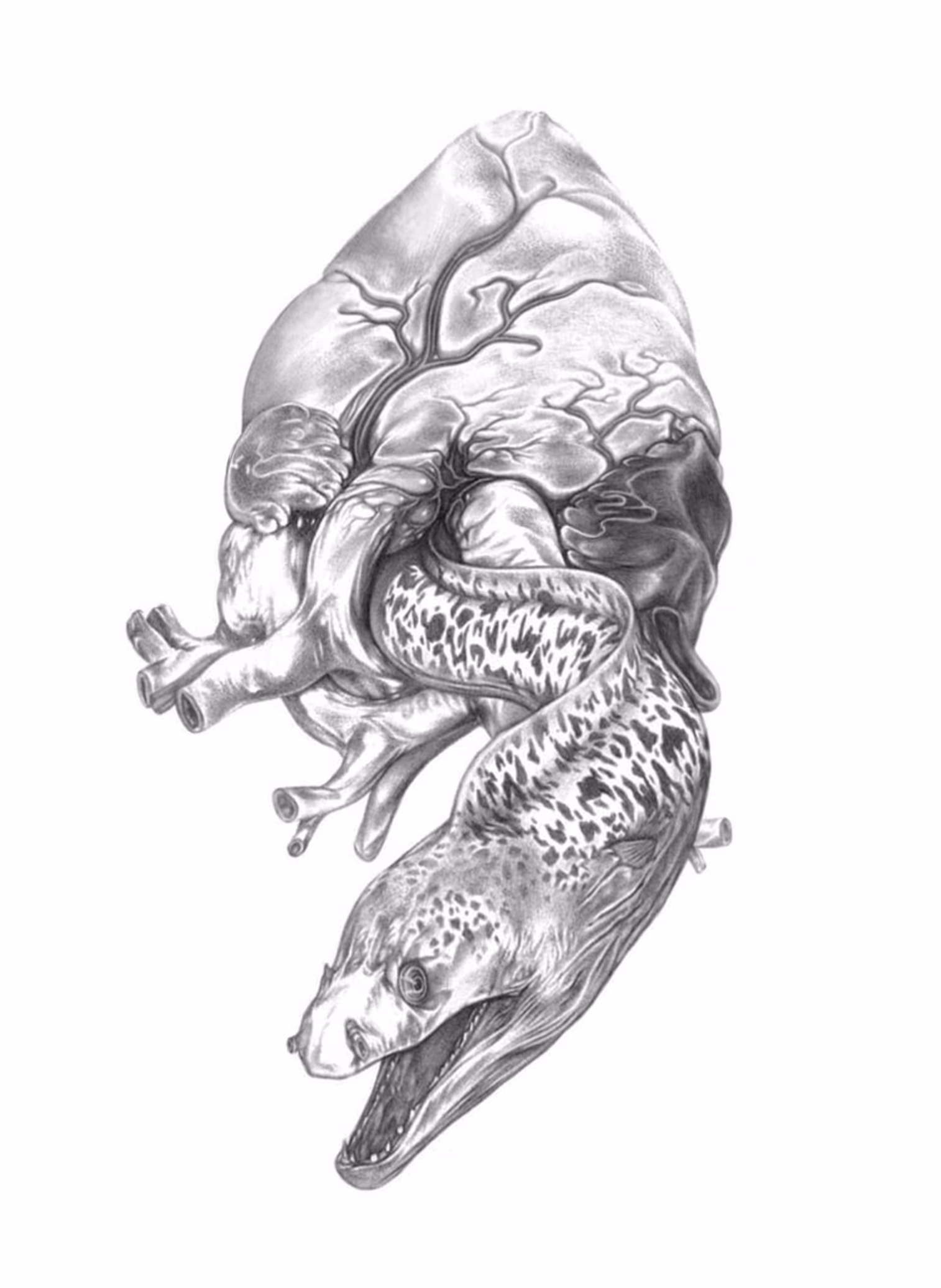Amore, ballpoint on paper